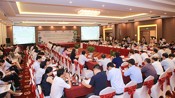 Vietnam commits to green growth and climate change resilience 