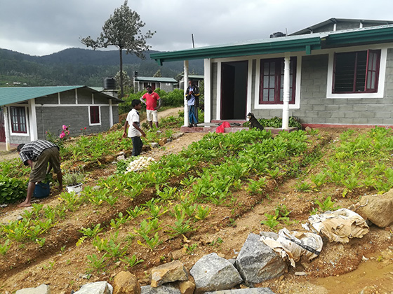 “Greening” Plantation Settlements in Nuwara Eliya District