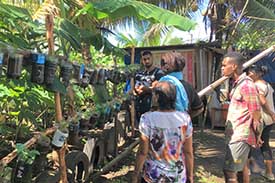Urban farming and art help vulnerable people in Fiji during the COVID pandemic.