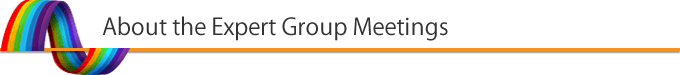 About the Expert Group Meetings