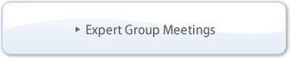 Expert Group Meetings