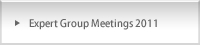 Expert Group Meetings 2011