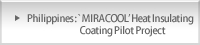 Philippines : `MIRACOOL' Heat Insulating Coating Pilot Project