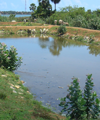 モンゴル：下水処理施設における水質浄化プロジェクト