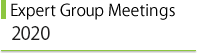 Expert Group Meeting 2020