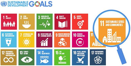 Achieving the Sustainable Development Goals in Sri Lanka’s urban areas: lessons from the State of Sri Lankan Cities Project